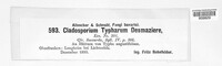Cladosporium typharum image